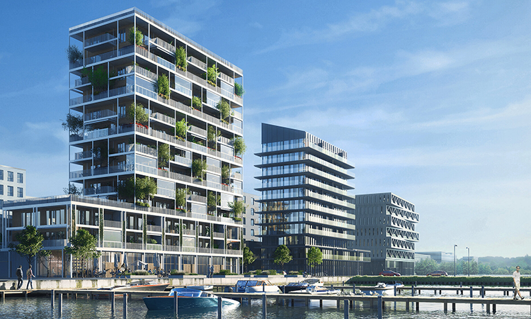 Vi Evleri Ağaçlandırma